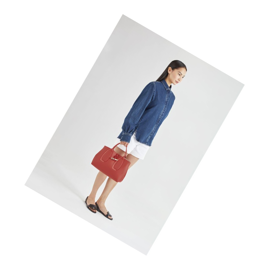 Longchamp Roseau Shadow M Naisten Käsilaukut Ruskea | Fi-EMAN974