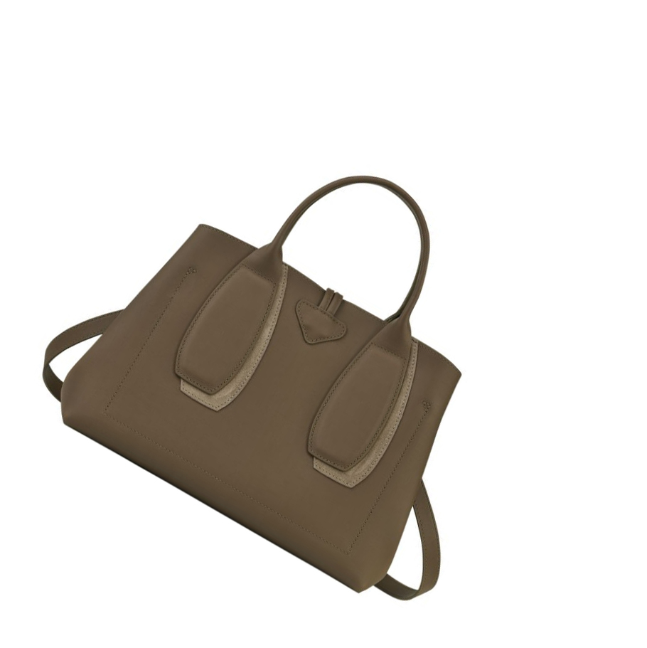 Longchamp Roseau Shadow M Naisten Käsilaukut Ruskea | Fi-EMAN974