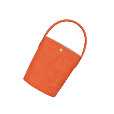 Longchamp Cuir De Russie Naisten Käsilaukut Oranssi | Fi-UMKQ593